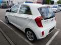 Kia Picanto Attract Weiß - thumbnail 4