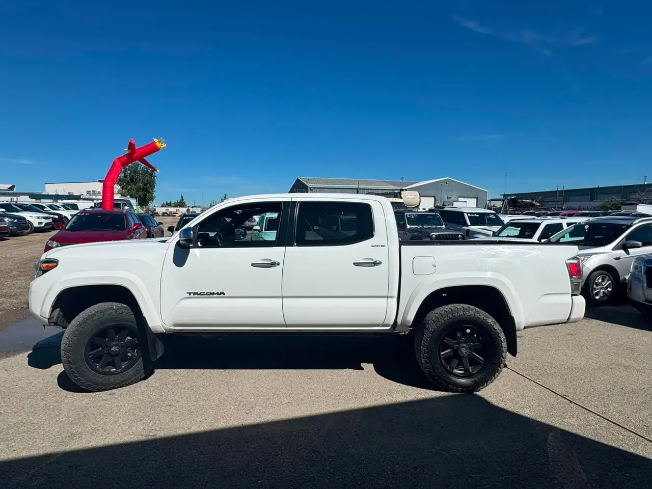 Toyota Tacoma fotografie Toyota Tacoma