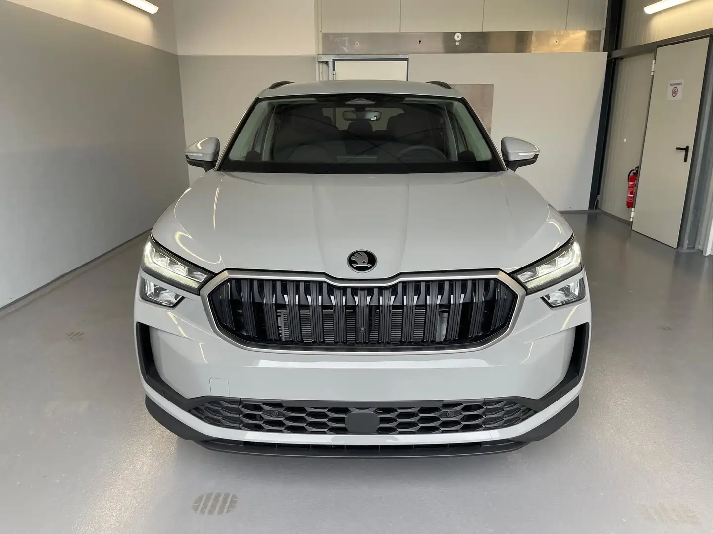 Skoda Kodiaq Selection 204PS 4x4 7Sitze+360°+AHK+GV4+eHeck+W... Grau - 2