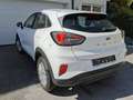Ford Puma Puma 1,0 EcoBoost Cool Weiß - thumbnail 7