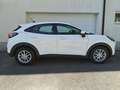 Ford Puma Puma 1,0 EcoBoost Cool Weiß - thumbnail 5