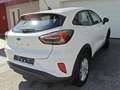 Ford Puma Puma 1,0 EcoBoost Cool Weiß - thumbnail 8