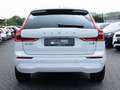 Volvo XC60 B4 D AWD CORE aus 1.Hand LED PANO FACEL. Weiß - thumbnail 4