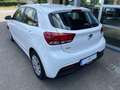 Kia Rio Blanc - thumbnail 6