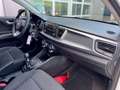 Kia Rio Blanc - thumbnail 8