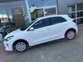 Kia Rio Blanc - thumbnail 4