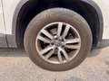 Volkswagen Tiguan 2.0 tdi bm Trend 110cv UNICO PROPRIETARIO Blanc - thumbnail 6