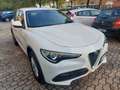Alfa Romeo Stelvio 2.2 Turbodiesel 160 CV AT8 RWD Business Bianco - thumbnail 2