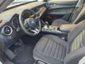 Alfa Romeo Stelvio 2.2 Turbodiesel 160 CV AT8 RWD Business Bianco - thumbnail 5