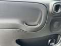 Fiat Panda Fiat Panda 1.0 70 Cv. Hybrid Easy Weiß - thumbnail 12