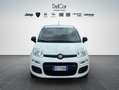 Fiat Panda Fiat Panda 1.0 70 Cv. Hybrid Easy Weiß - thumbnail 1