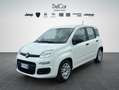Fiat Panda Fiat Panda 1.0 70 Cv. Hybrid Easy Weiß - thumbnail 2