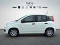 Fiat Panda Fiat Panda 1.0 70 Cv. Hybrid Easy Weiß - thumbnail 3