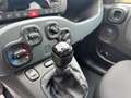 Fiat Panda Fiat Panda 1.0 70 Cv. Hybrid Easy Weiß - thumbnail 16