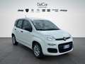 Fiat Panda Fiat Panda 1.0 70 Cv. Hybrid Easy Weiß - thumbnail 8