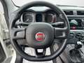 Fiat Panda Fiat Panda 1.0 70 Cv. Hybrid Easy Weiß - thumbnail 10