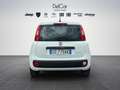 Fiat Panda Fiat Panda 1.0 70 Cv. Hybrid Easy Weiß - thumbnail 5