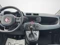 Fiat Panda Fiat Panda 1.0 70 Cv. Hybrid Easy Weiß - thumbnail 14
