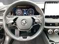 Skoda Superb Selection TDI DSG Schwarz - thumbnail 10