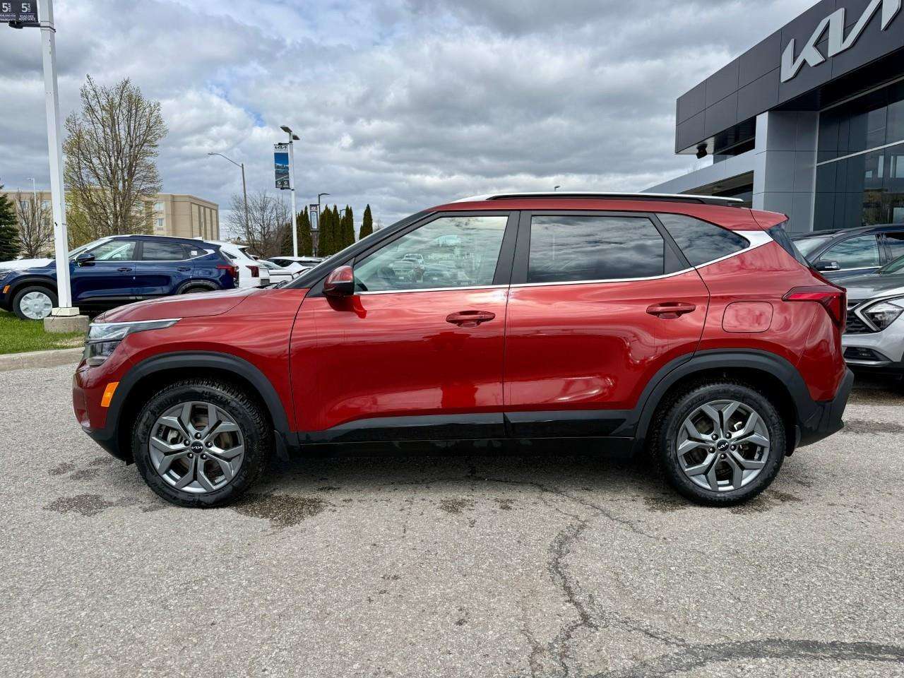 2025 Kia Seltos EX | SUNROOF | LEATHER | ALL WHEEL DRIVE — снимка 1
