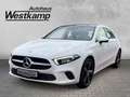 Mercedes-Benz A 200 7G-DCT Progressive Panodach Led Navi Wit - thumbnail 1