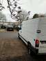 Renault Master FGN L1H1 2.8t 2.5 dCi 120 E4 CONFORT - thumbnail 11