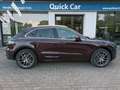Porsche Macan 2.0 265CV PDK,TETTO,PELLE ESTESA,COLORE "LEGGENDA" Rosso - thumbnail 12