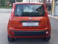 Fiat Panda Benzina Mod. Lounge cc. 900 5 Porte SOLO Km 73.500 Bronzová - thumbnail 4