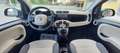 Fiat Panda Benzina Mod. Lounge cc. 900 5 Porte SOLO Km 73.500 brončana - thumbnail 9