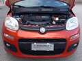 Fiat Panda Benzina Mod. Lounge cc. 900 5 Porte SOLO Km 73.500 Brons - thumbnail 16