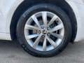 Skoda Octavia Combi 1.0 TSI Tour Wit - thumbnail 17