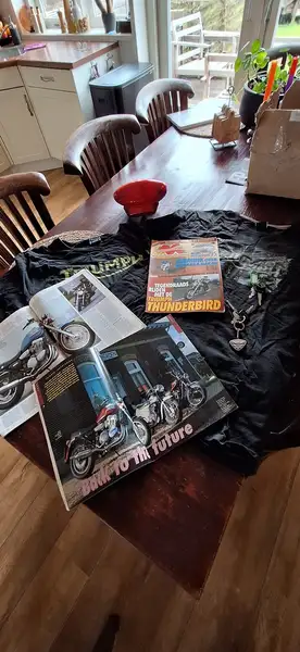 Triumph Thunderbird Sport - foto 8