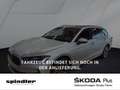 Skoda Superb Combi Selection 2.0 TDI DSG / Standh, AHK Silber - thumbnail 1