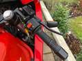 Gilera Saturno 500 Bialbero Rood - thumbnail 6