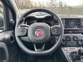Fiat Panda 1.0 FireFly 70cv S&S Hybrid Cross Nero - thumbnail 13