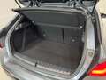 BMW 118 118d M Sport - Shadow Line *19"Alu/H&K/HUD* Grau - thumbnail 23
