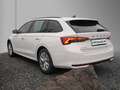 Skoda Octavia Combi Selection 2,0TDI 110kW DSG Weiß - thumbnail 4