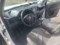 Fiat Doblo Cargo Maxi L2H1 1.6 16V Multijet II Weiß - thumbnail 13
