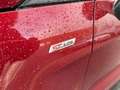 Ford EcoSport BWJ 2019 1.0 EcoBoost 126 PK ST-Line PANODAK | STO Rood - thumbnail 35