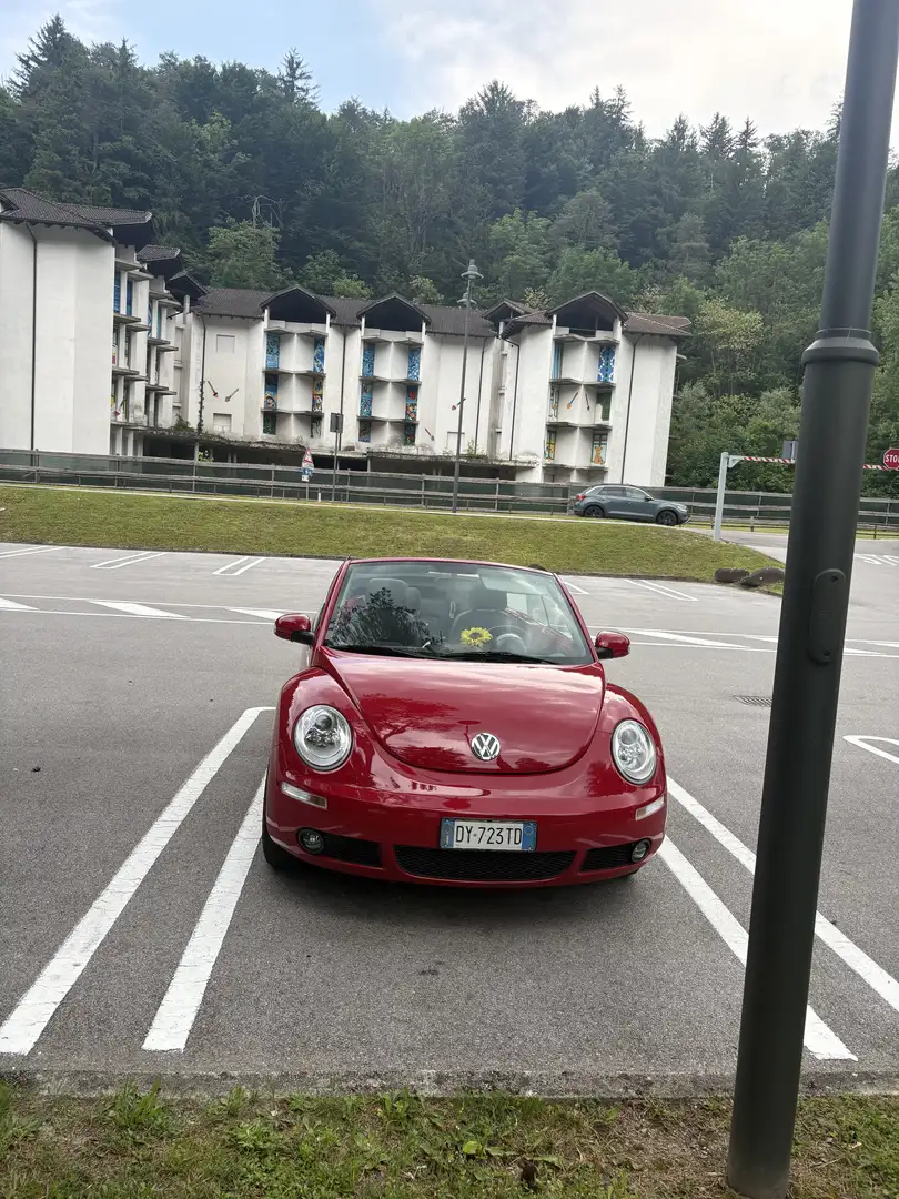 Volkswagen New Beetle Cabrio 1.6 limited Red Edition - 2