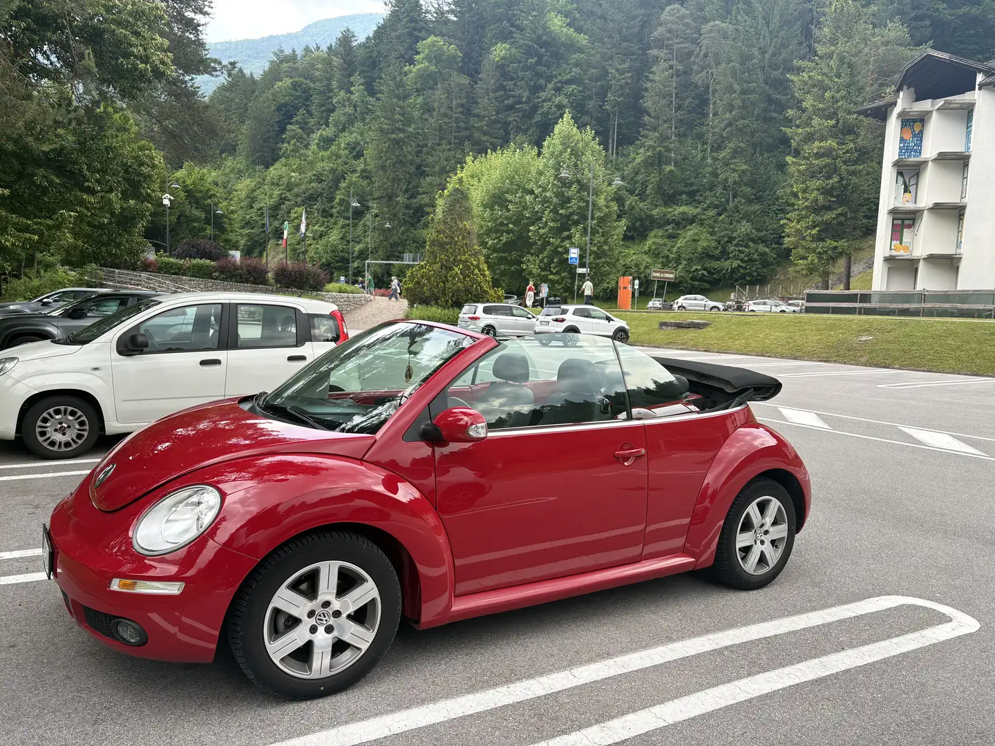 Volkswagen New Beetle Cabrio 1.6 limited Red Edition - 1