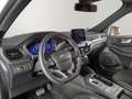 Ford Kuga 2.5 Duratec PHEV ST-Line X 4x2 Blanc - thumbnail 8