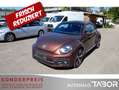 Volkswagen Beetle 1.2 TSI DSG Allstar Plus BiXen LM LED Nav - thumbnail 2