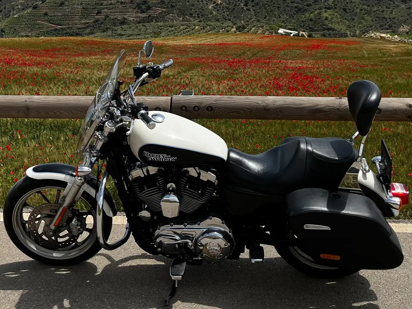 Harley-Davidson Sportster 1200 superlow 1200 T Blanc - 2