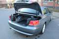 BMW 320 i Cabrio Aut. Leder/Xenon/Memory/Standhzg Gris - thumbnail 4