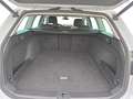 Volkswagen Passat Variant Business 2.0 TSI DSG, LED/KAM/AHK Weiß - thumbnail 14