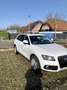 Audi Q5 2.0 TDI clean diesel/ultra (110 kW) Weiß - thumbnail 2