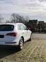 Audi Q5 2.0 TDI clean diesel/ultra (110 kW) Weiß - thumbnail 6