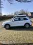 Audi Q5 2.0 TDI clean diesel/ultra (110 kW) Weiß - thumbnail 4