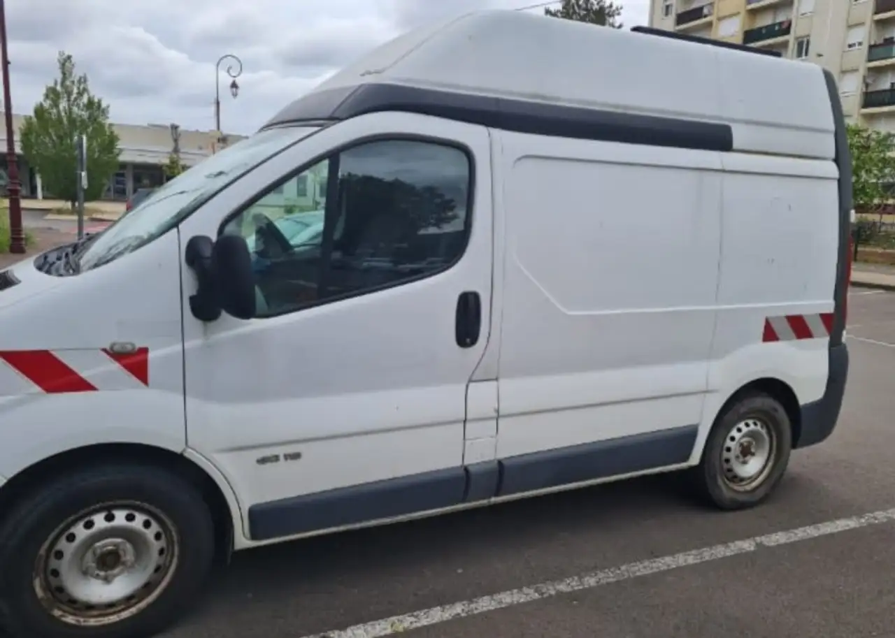 Renault Trafic TRAFIC T 1100 D LONG (4X4)